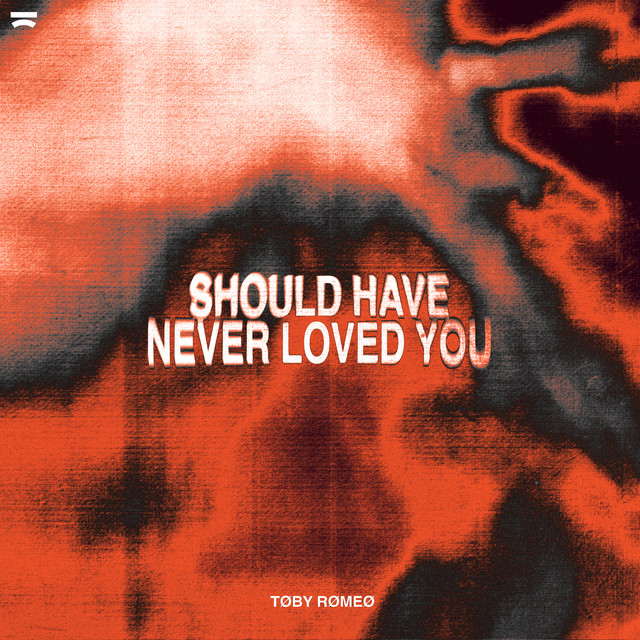 SHOULD HAVE NEVER LOVED YOU
