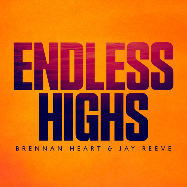 ENDLESS HIGHS