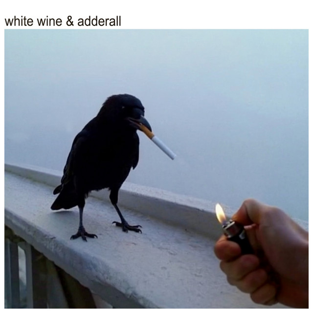 WHITE WINE & ADDERALL