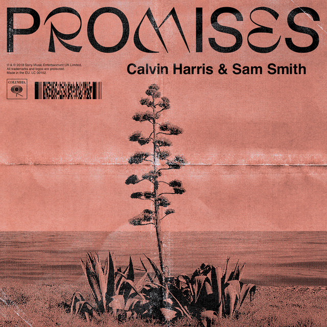 PROMISES (WITH SAM SMITH)