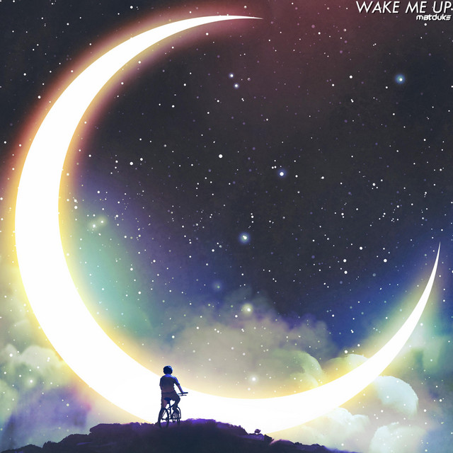 WAKE ME UP (HARDSTYLE MIX)