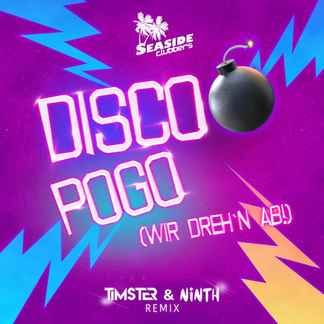 DISCO POGO (TIMSTER & NINTH REMIX EDIT)