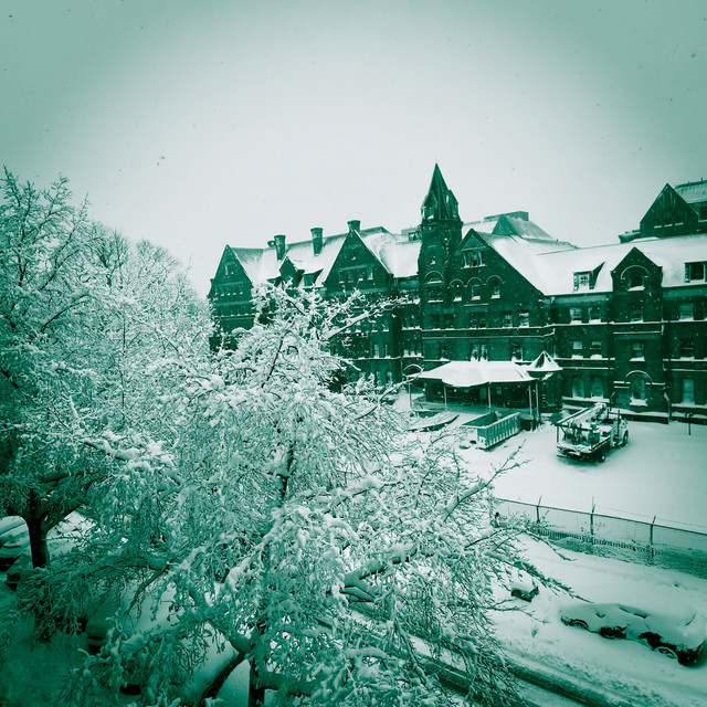 HOW I FEEL (AM I WRONG)