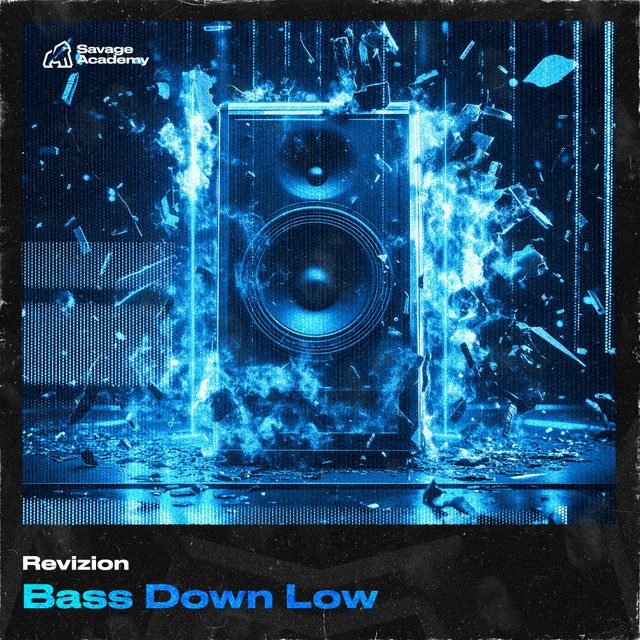 BASS DOWN LOW