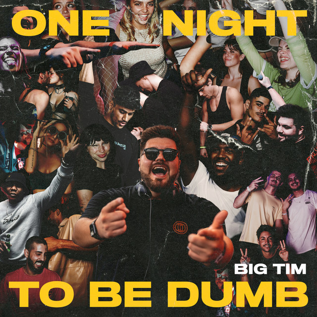 ONE NIGHT TO BE DUMB