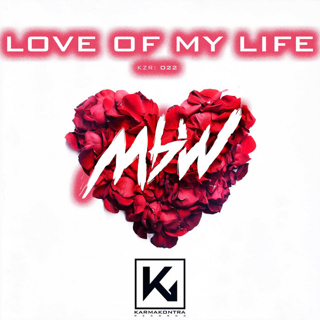 Love Of My Life (radio edit)