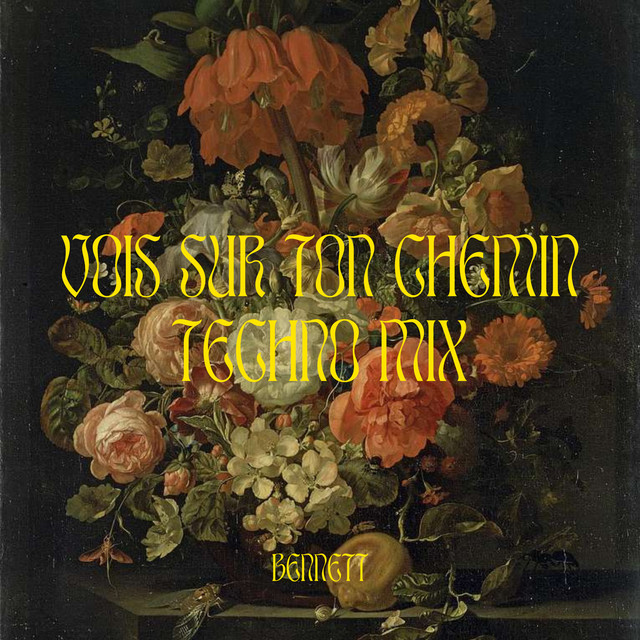 VOIS SUR TON CHEMIN (TECHNO MIX)