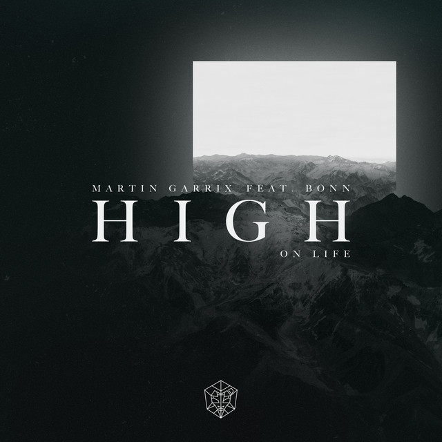 High On Life (Max Mylian & Alyon Bootleg)(Radio Edit)