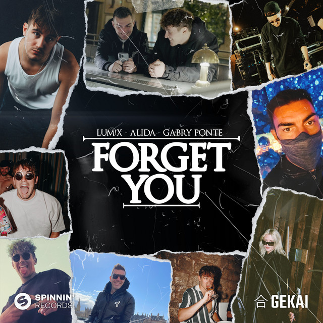 Forget You (with Gabry Ponte)